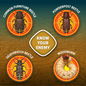 For most types of woodworm & beetle