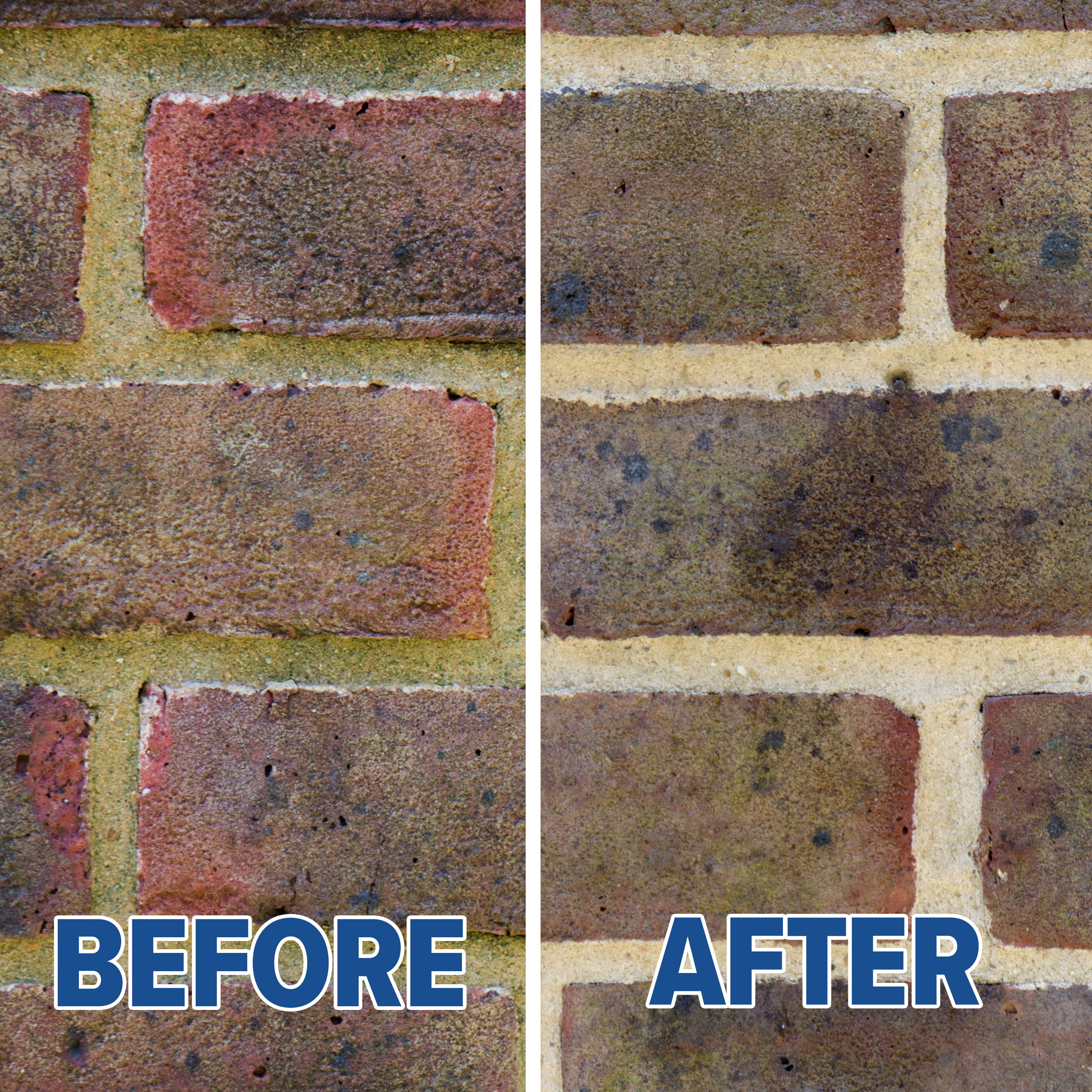 Step 4 SoluGuard Multi-Surface Biocide Before After