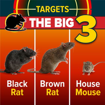NOPE! Rat Bait Stations Target The Big 3