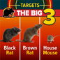 NOPE! Rat Bait Stations Target The Big 3
