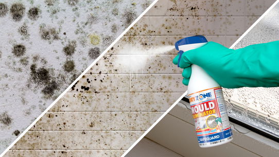 An example of mould growth and spray mould removal from a wall.