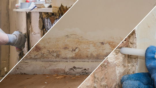 Rising Damp: Causes and Treatment CPD webinar header.