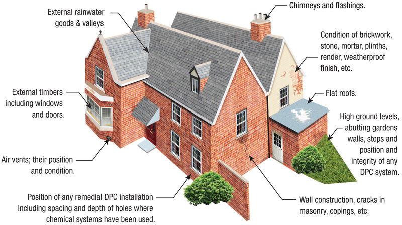 A diagram showing all the places where water can enter a house.