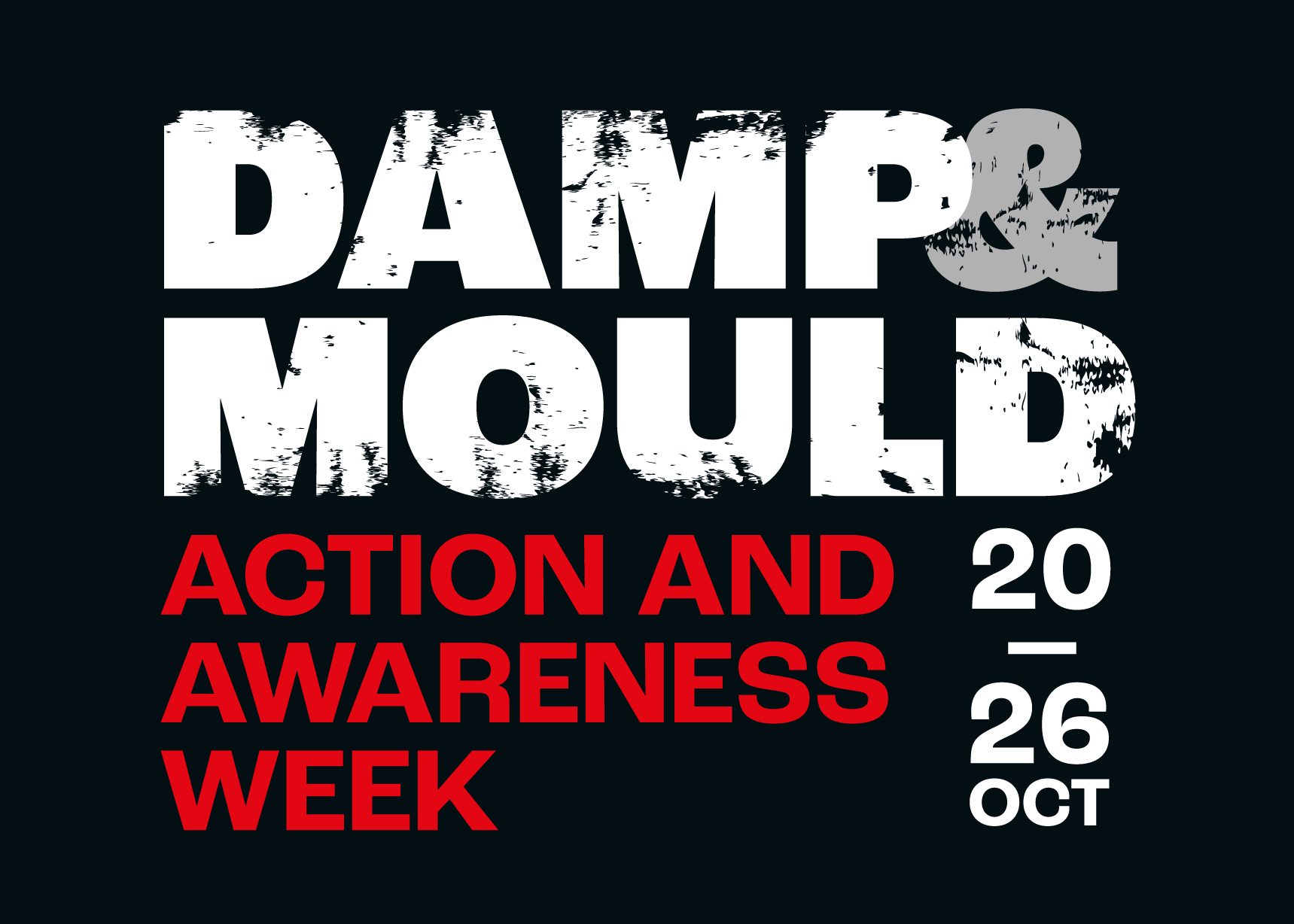 Damp & Mould Action and Awareness Week: 20 to 26 October