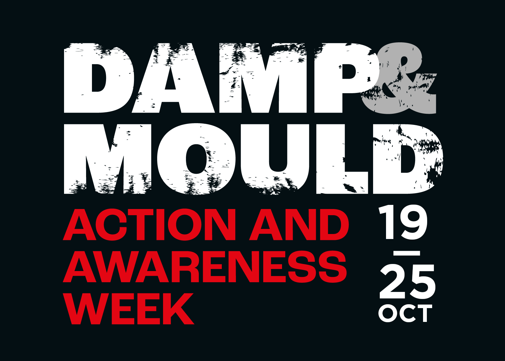 Damp & Mould Action and Awareness Week: 19 to 25 October 2026